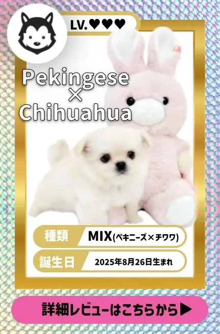 大倉山店ーカニンヘン