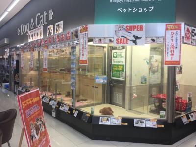 スーパーセール特別企画：マルワン大倉山店はこんなお店！