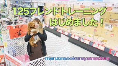 【新サービス】125フレンドトレーニングでわんこの犬馴れをサポート！：大倉山店SUPPORT INFORMATION