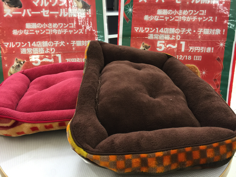 ベッド選び - ワンちゃんネコちゃんの寒さ対策！