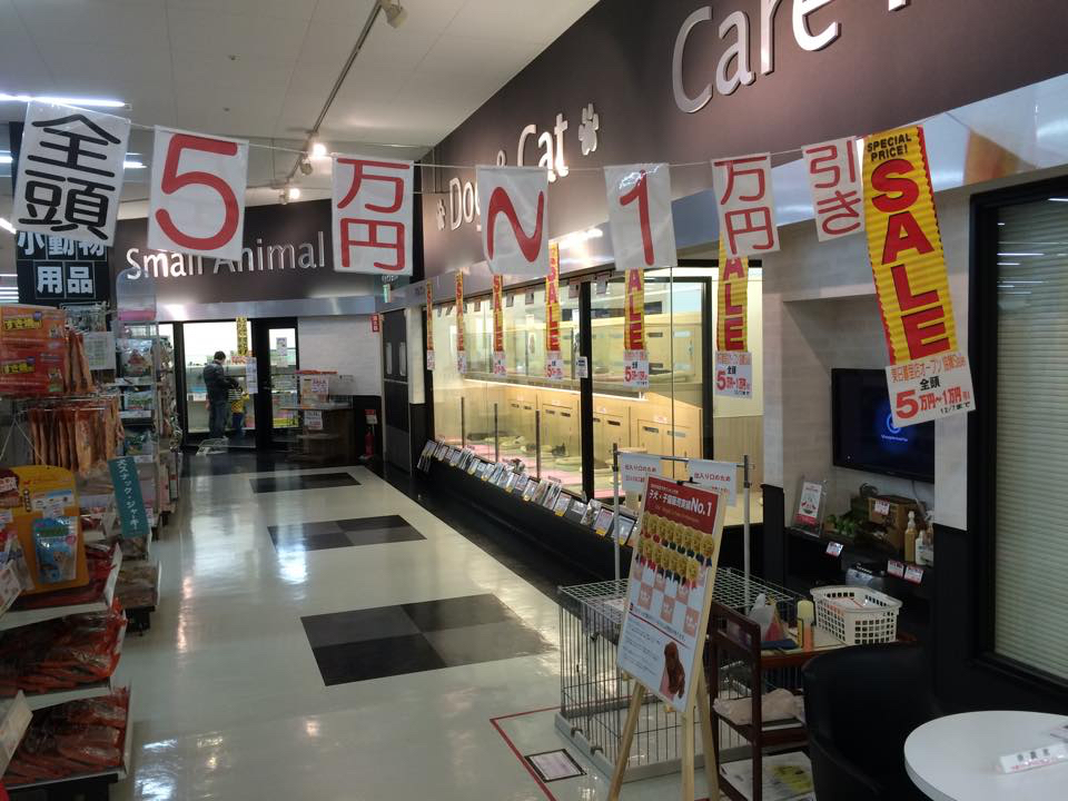 武蔵浦和店SALE INFORMATION