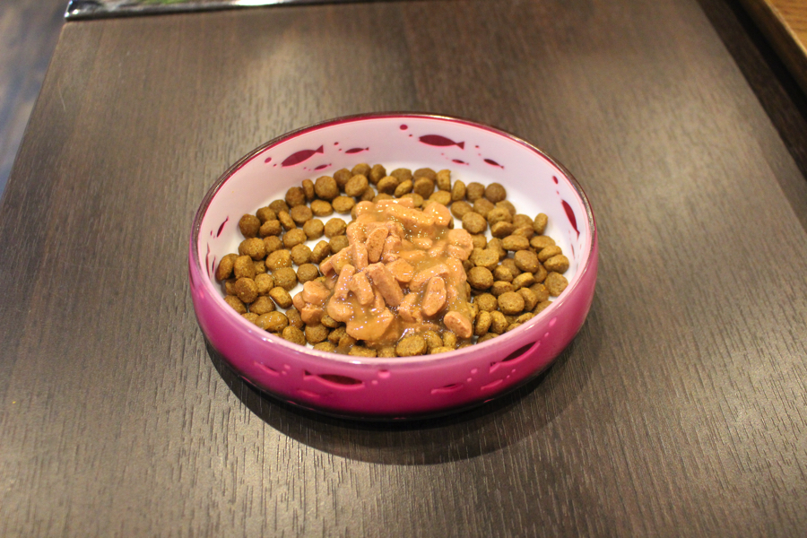 愛猫シエルの夕飯 - ￼【ギフト商品】９割以上の猫ちゃんがどれかを食べる！？プレゼントにも最適なキャットフード！：白楽店発