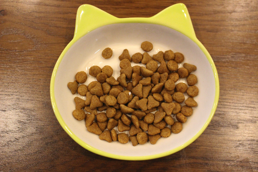 セイバーエクシジェント - ￼【ギフト商品】９割以上の猫ちゃんがどれかを食べる！？プレゼントにも最適なキャットフード！：白楽店発
