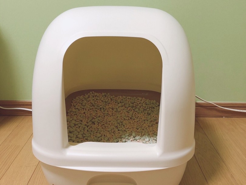あーりんさん宅のふくちゃんトイレ | スタッフの猫ちゃんのおトイレ事情を大調査 - 大倉山店