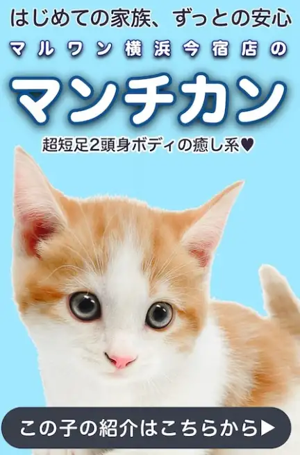 マンチスライド