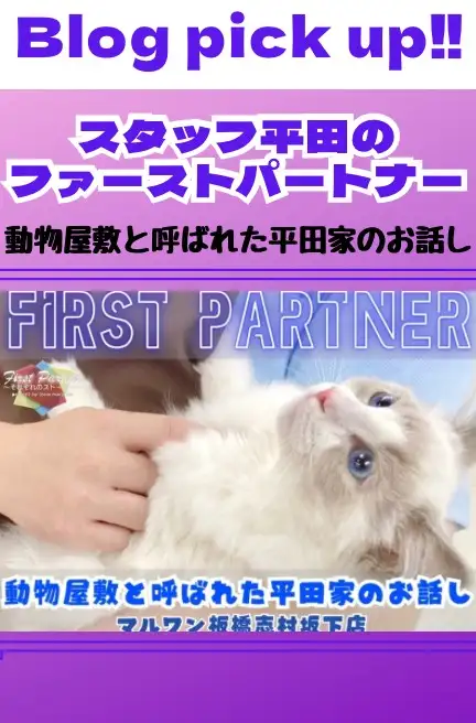 平田さんファーストパートナー