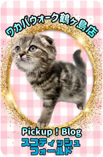 pickupブログ