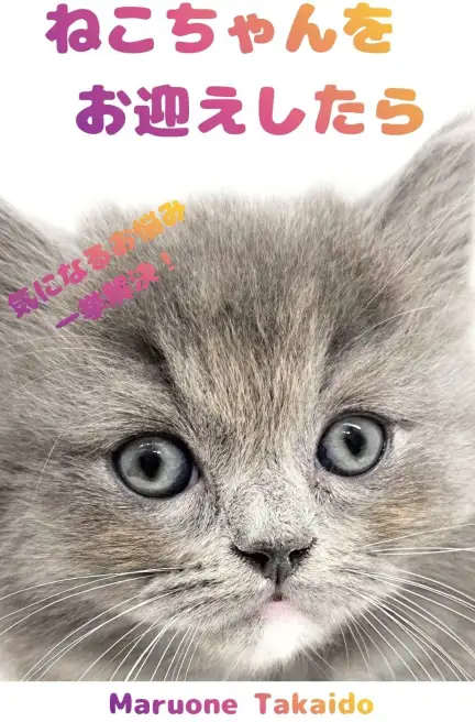 高井戸店 猫お迎え