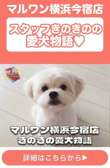 ファーストパートナー