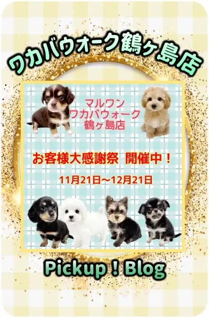 鶴ヶ島店pickupブログ