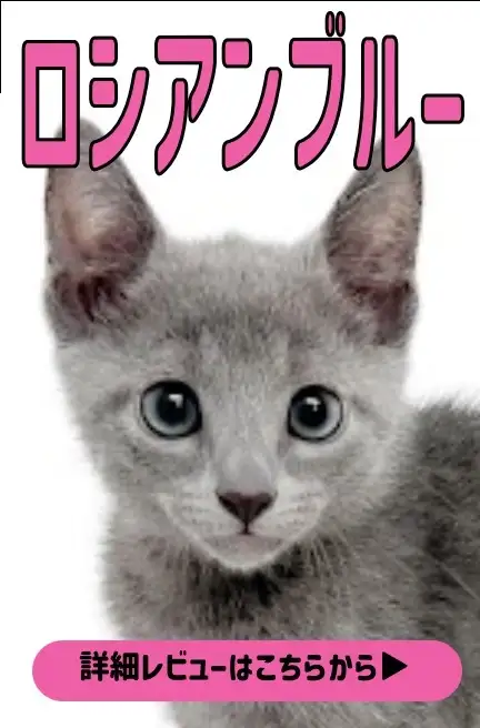 大倉山店ーBBSーペキプー