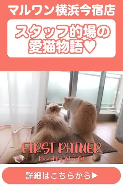 ファーストパートナー的場