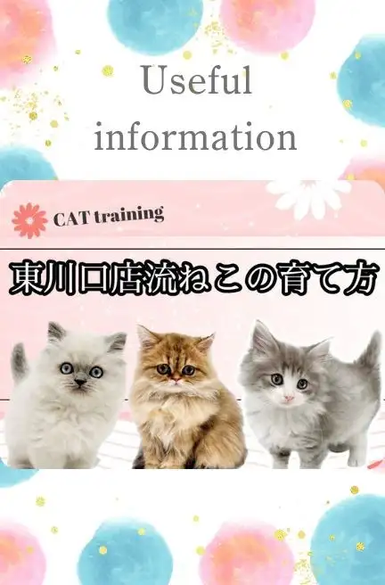 東川口店-猫の育て方