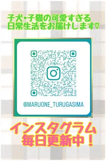 ワカバウォーク鶴ヶ島店 インスタグラム