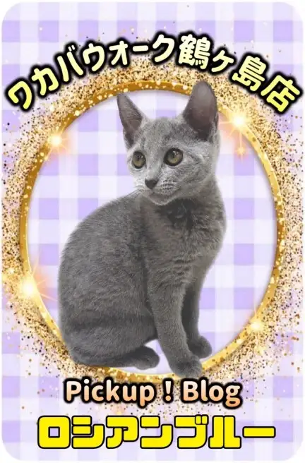 ワカバウォーク鶴ヶ島店 PICK UP BLOG DOG