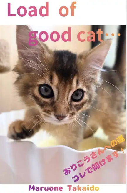 高井戸 猫しつけ