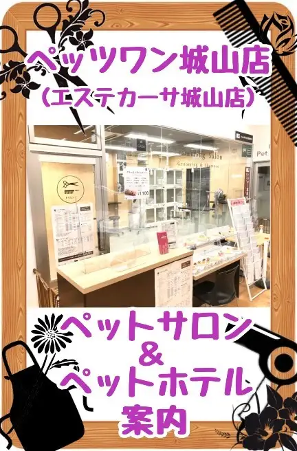 【お迎え後も安心】お手入れについてトリマーにも相談できるペッツワン城山店