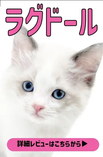 大倉山店ー犬のおやつ