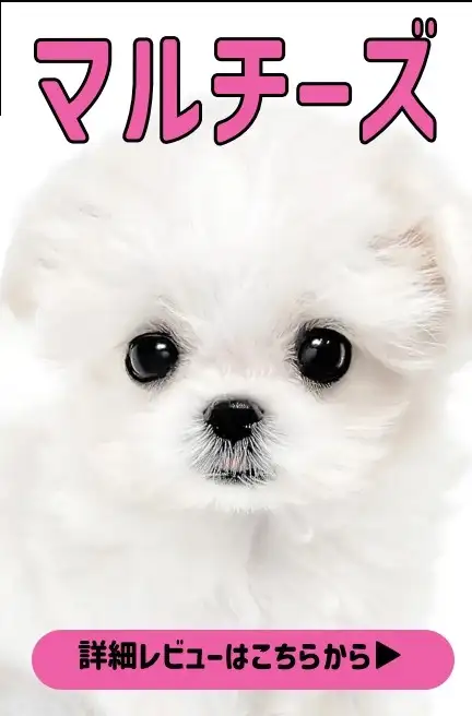 大倉山店ブログ-CHALLENGE365