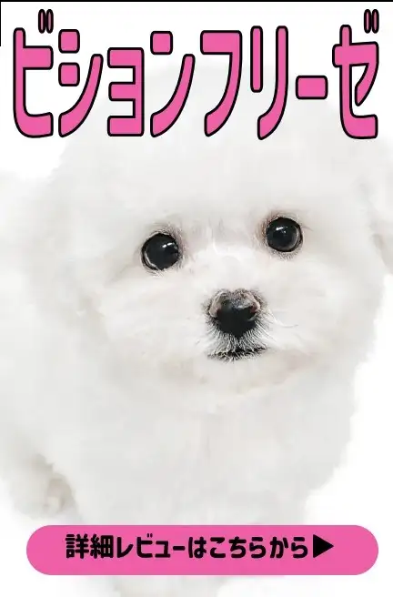 大倉山店ー9thAnniversaryblog