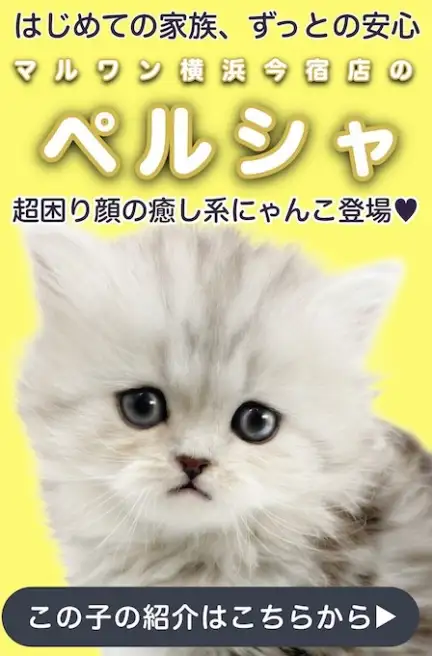 ペルシャスライド