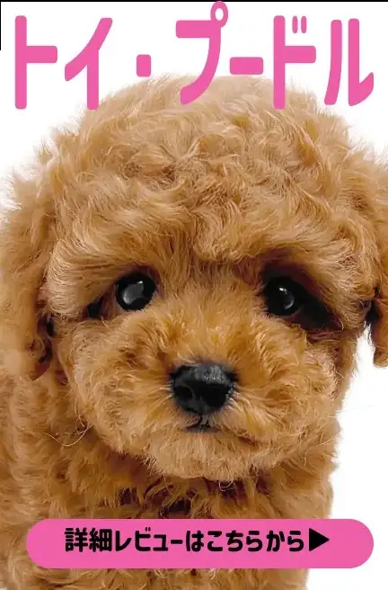 大倉山店ー9thAnniversaryblog