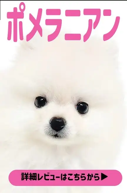 大倉山店ー藤田くん