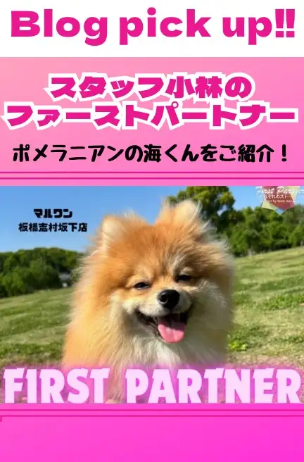 小林ファーストパートナー