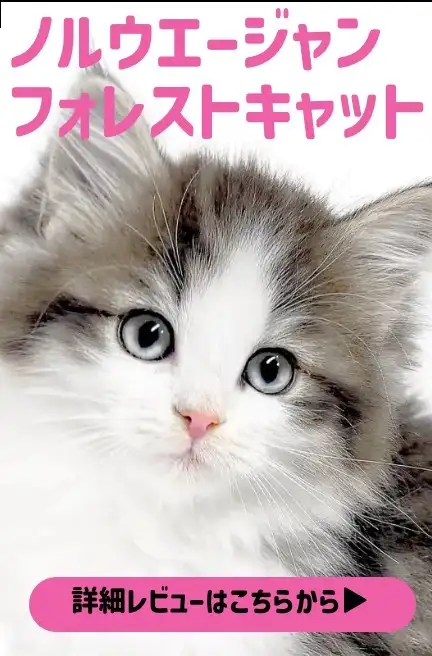 大倉山店ーカニンヘン