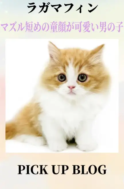 ラガマフィンブログ