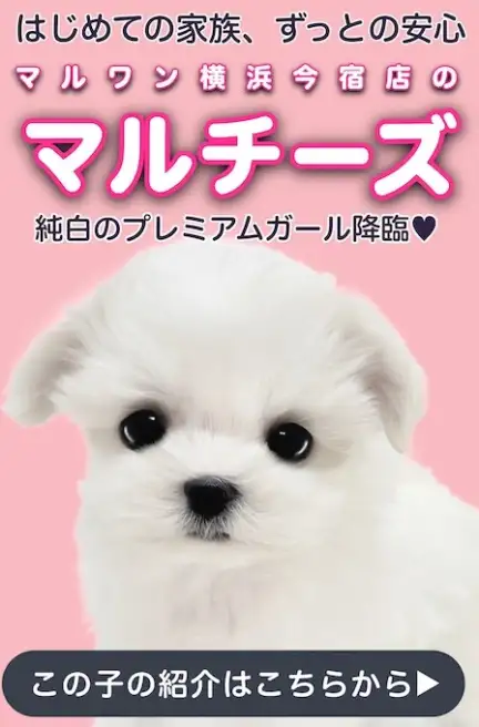 マルチスライド