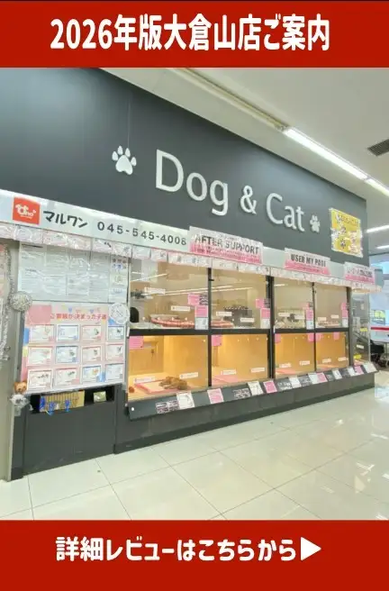 大倉山店ー猫のクレートトレーニング