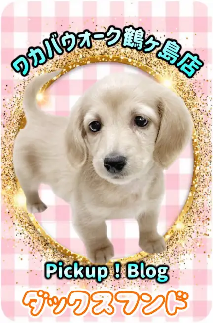 鶴ヶ島店pickupブログ