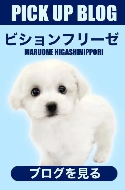 東日暮里店‐ビション