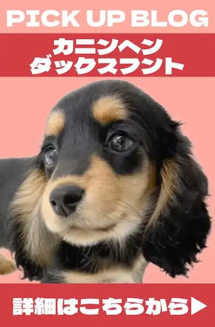 犬バナー3