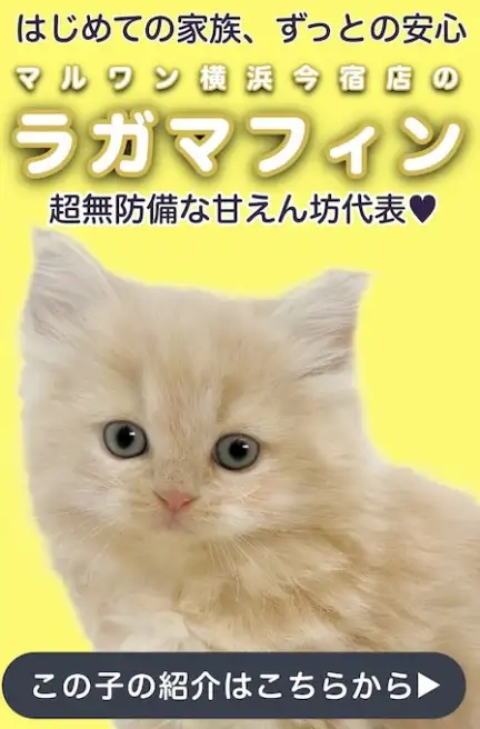 ラガマフィンスライド