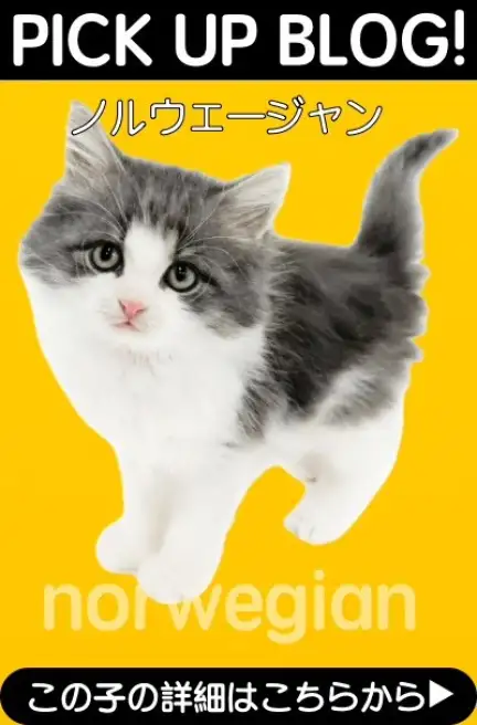 鶴見店-ノルウェージャン