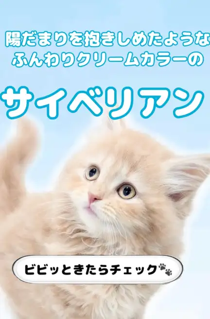 サイベリアン