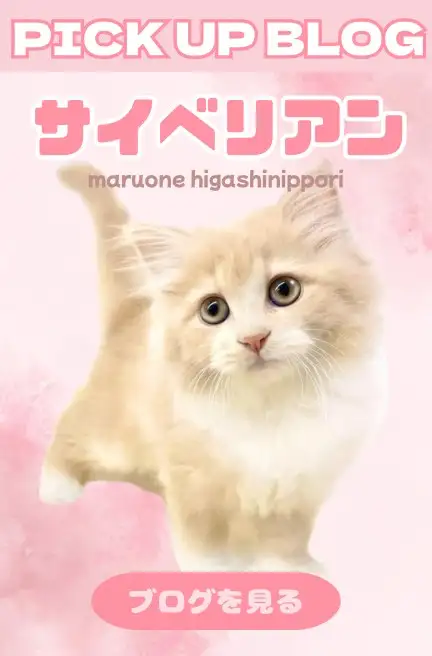 東日暮里-サイベリアン(バナー枠1)