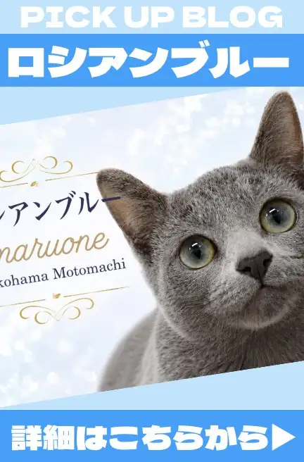 元町ー猫