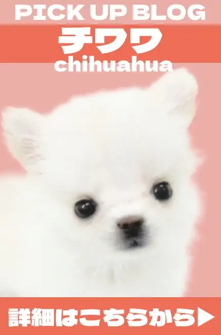 犬バナー3