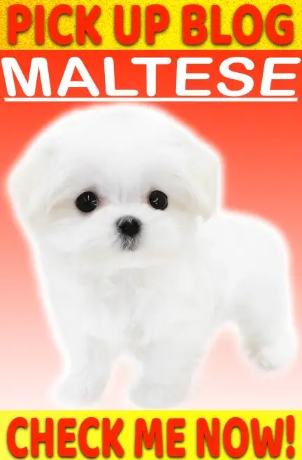 マルチ