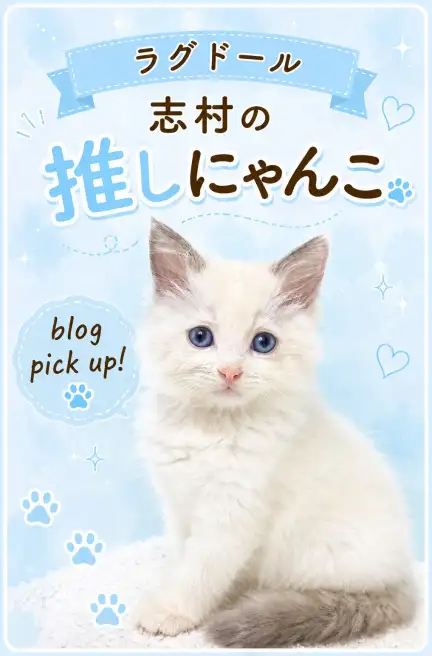 ラグ