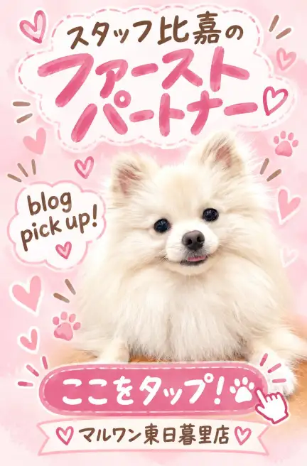 比嘉ちゃんファーストパートナー
