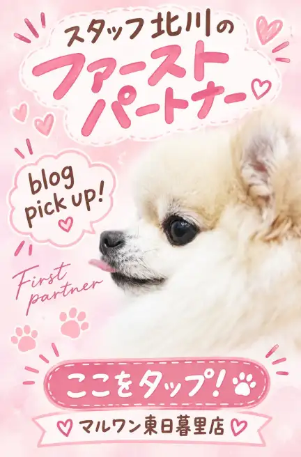 北川さん ファーストパートナー