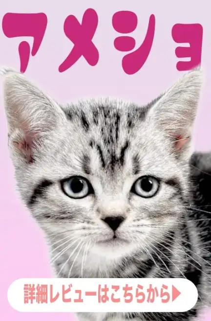 大倉山店ー猫のクレートトレーニング