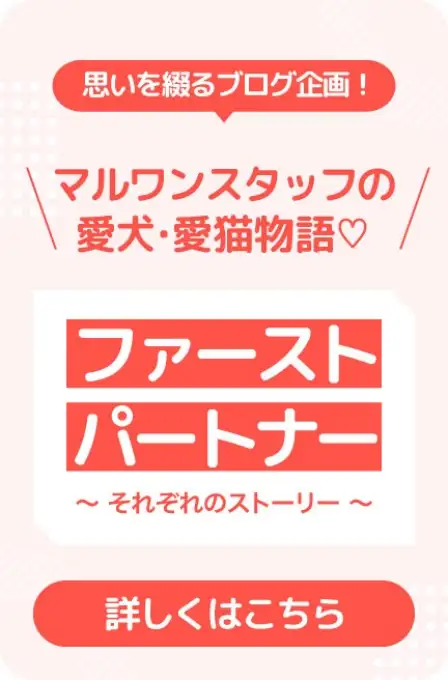 ファーストパートナー