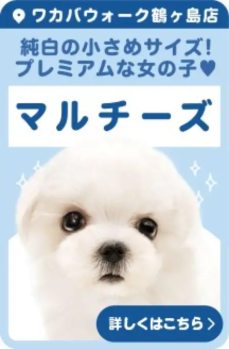 鶴ヶ島店オススメマルチーズ