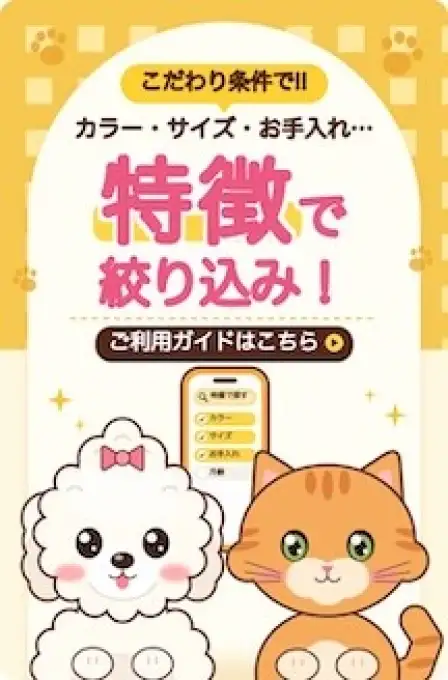特徴検索