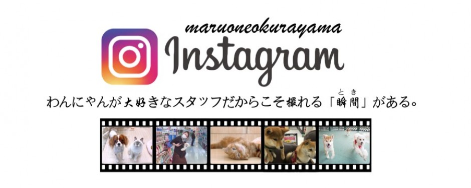 大倉山店-Instagram